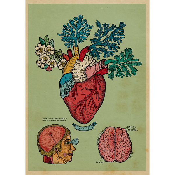 Print A4 de Asís Percales - "Anatomía de un corazón florio"
