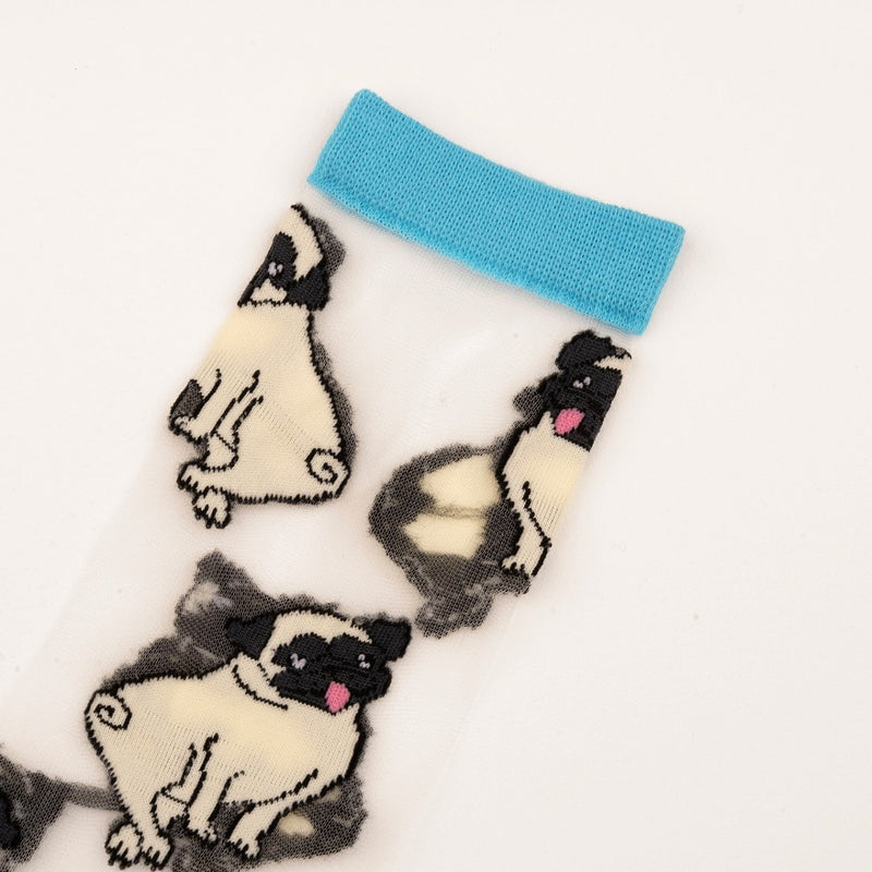 Calcetines de malla transparentes con dibujos de pugs. Calcetines con estampado de perros pug con el remate, el talón y la punta en azul turquesa.