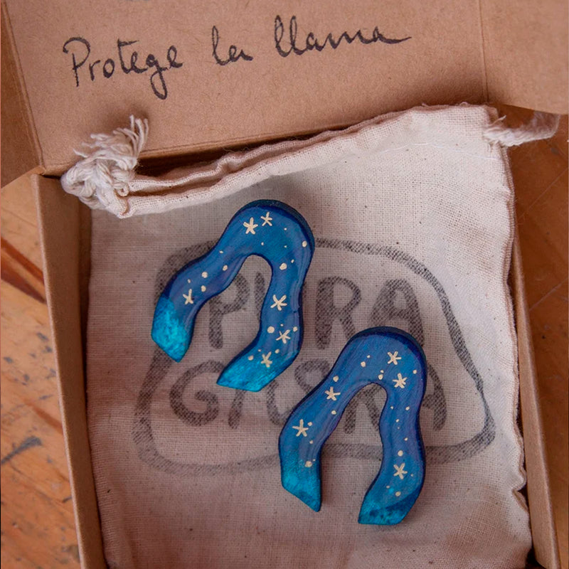 Pendientes Pura Garra - Río Noche