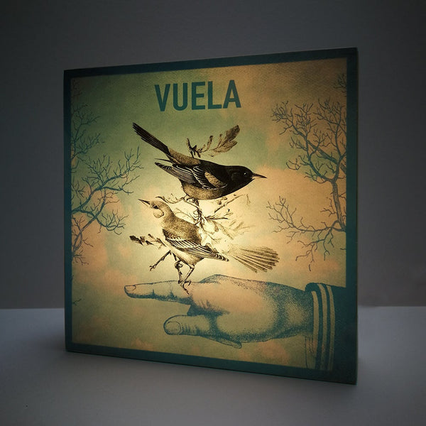 Caja de luz - "Vuela" de El Lucernario